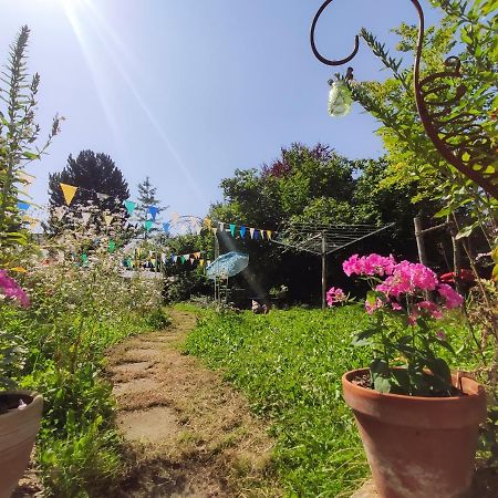 Modernes Zimmer Am Park Mit Garten, Huehner & Enten Мюнхен Екстер'єр фото