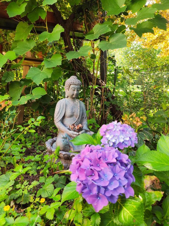 Modernes Zimmer Am Park Mit Garten, Huehner & Enten Мюнхен Екстер'єр фото
